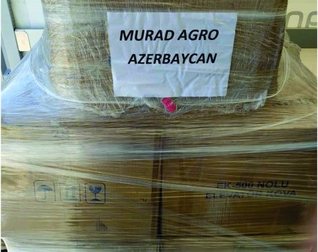 Gördüyümüz İşlərdən